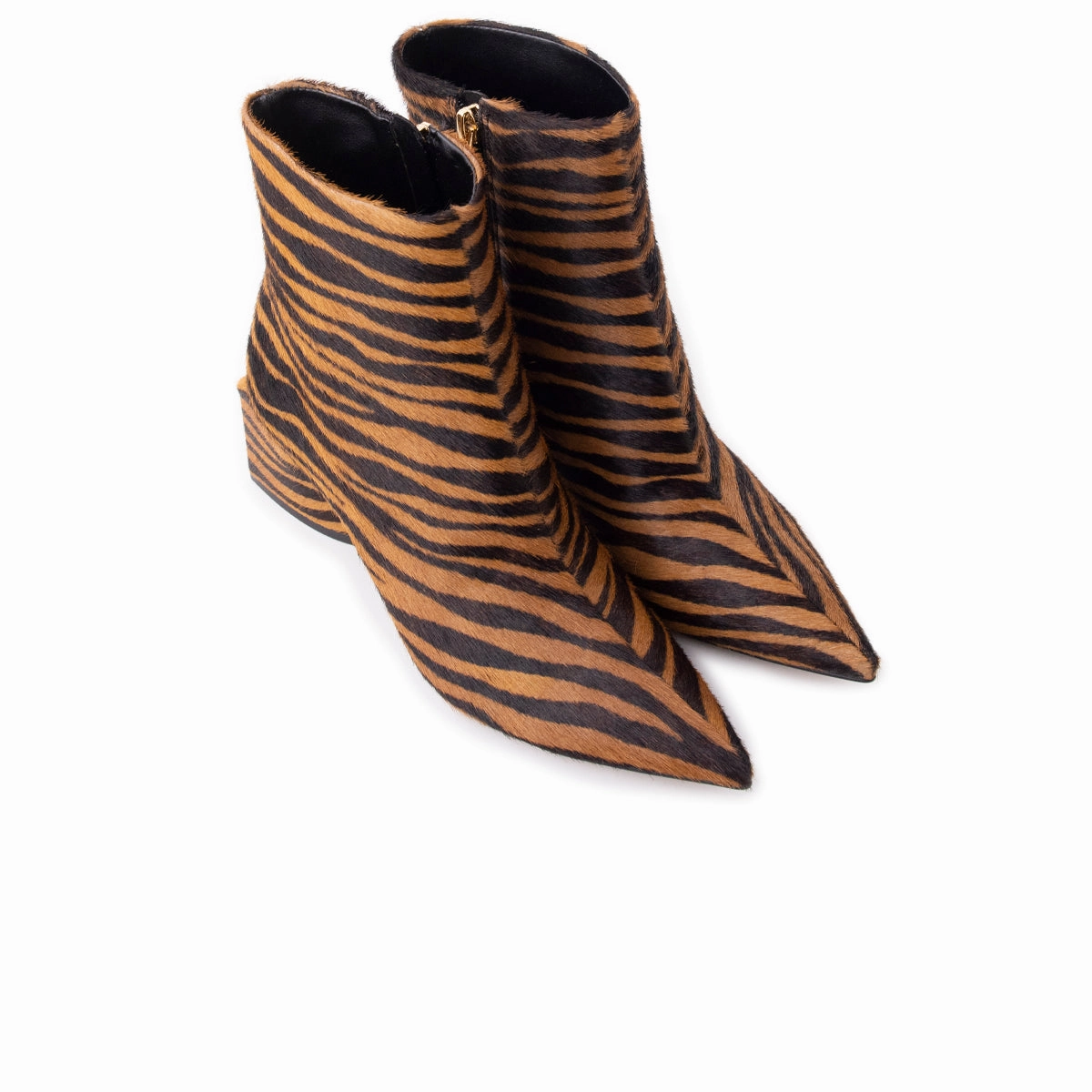 Palazzo Zebra Pony